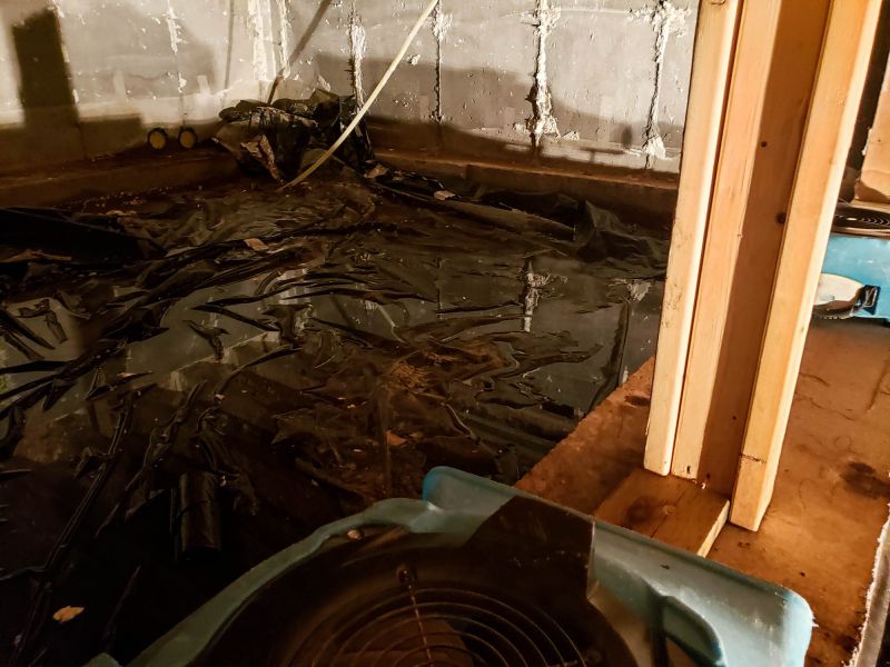Basement Water Extraction in Phoenix, AZ